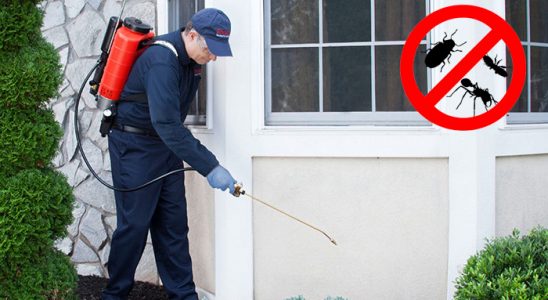 Aralık Kemirgen İlaçlama böcek ilaçlama ve haşere kontrolü — ilaclama-tr.com